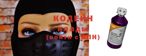 прущие крисы Няндома