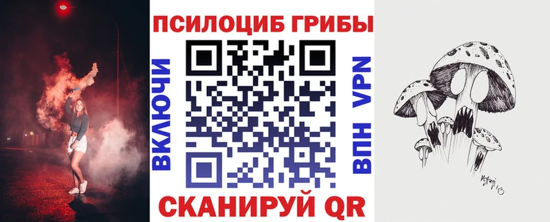 купить  сайты  Тайга  Псилоцибиновые грибы прущие грибы 